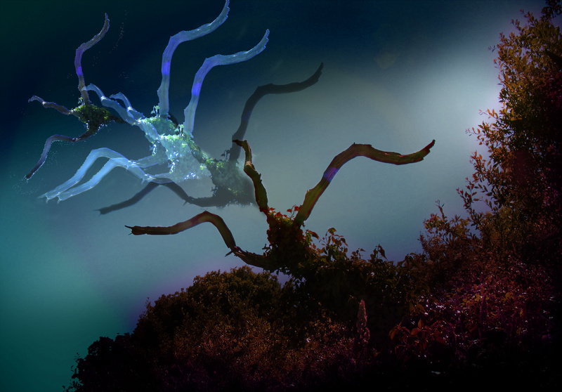 F6  'Liberation of the Dead Tree'  (10x8) - Imaginative, Meditative or Mystical
