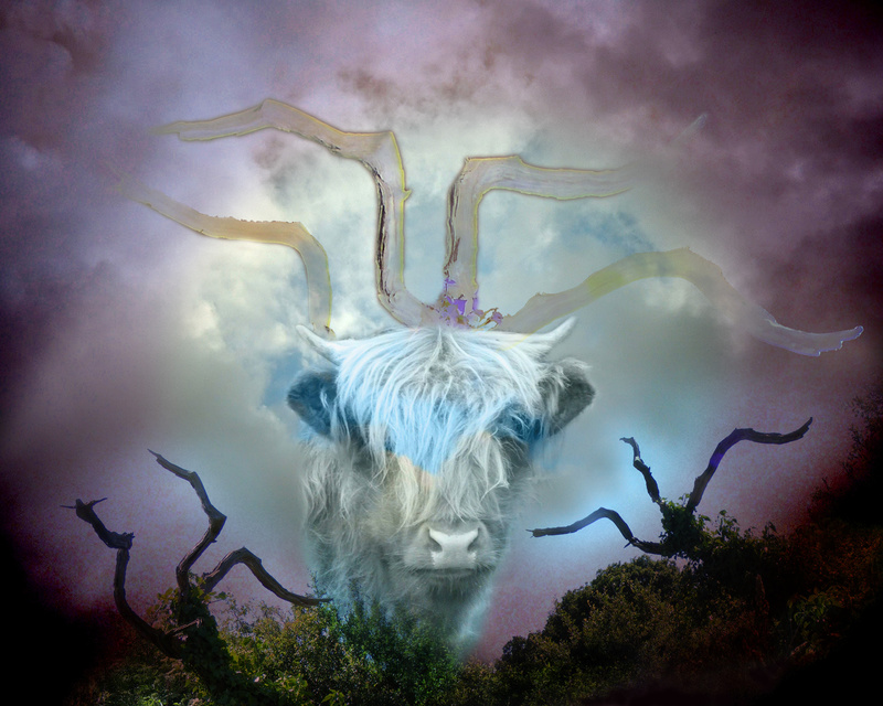 F4  'Just a thought!'  (10x8) - Imaginative, Meditative or Mystical