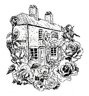 Thurne Cottage  with roses - Drawings and Sketches