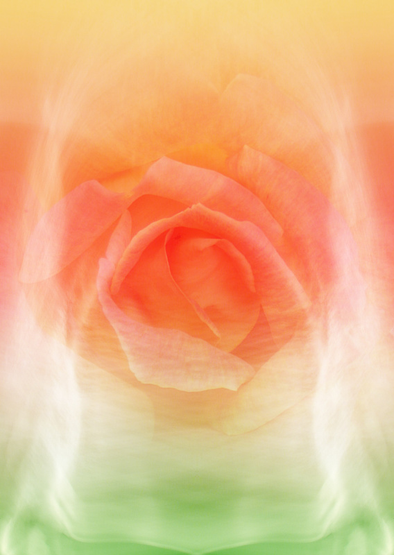 M22 Rose Essence  (A4) - Imaginative, Meditative or Mystical