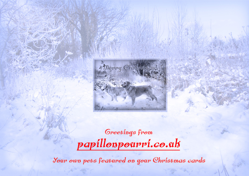 X44b - reverse of Goldies in the snow - Examples of Papillonpourri Christmas Cards