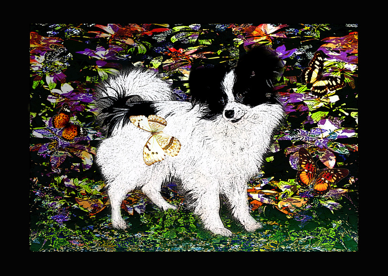 PP29  Butterfly Garden  (A4) - Pet Portraits