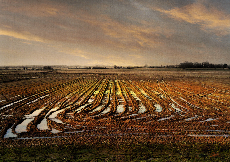 NB11 Frozen Furrows - Moods and Magic of the Norfolk Broads