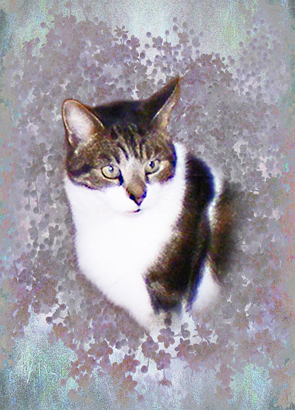 'Watching' - General Greetings Cards