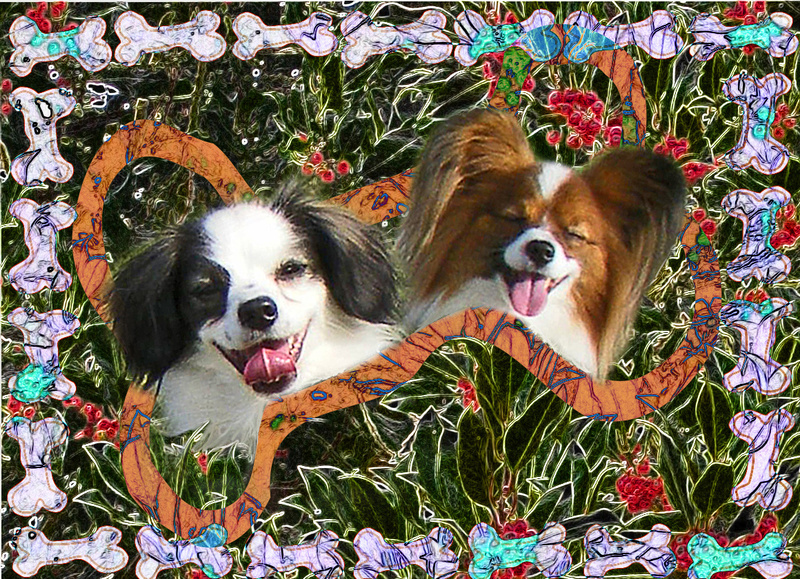 X8  Bonio Joke - Examples of Papillonpourri Christmas Cards