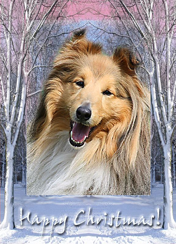 X31 'Smile, please!' - Examples of Papillonpourri Christmas Cards