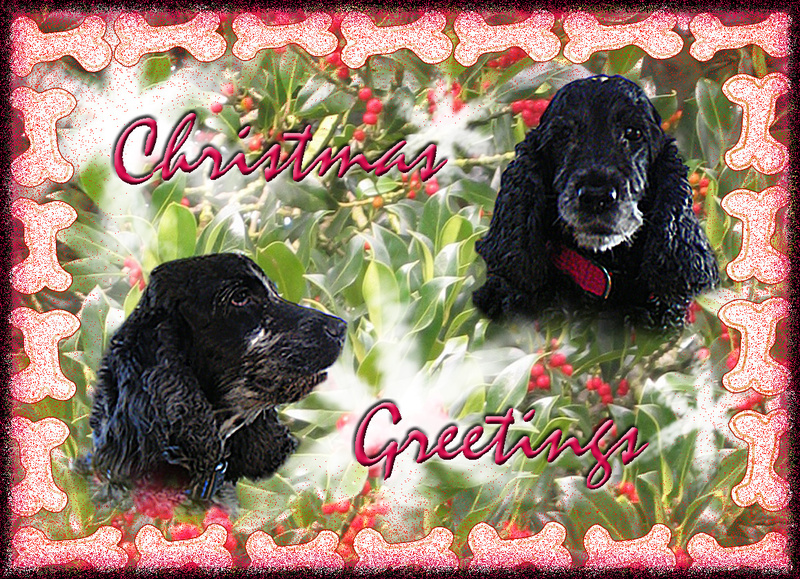 X11  Room for two - Examples of Papillonpourri Christmas Cards