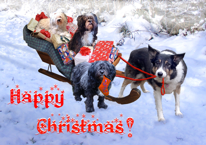 X45  We've brought Santa's Sleigh - Examples of Papillonpourri Christmas Cards