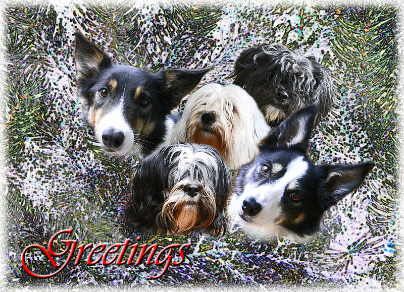X3  The Bark Quintet - Examples of Papillonpourri Christmas Cards