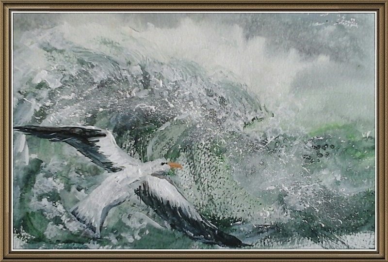 SM16   Albatross - Senior Moments - freehand watercolours