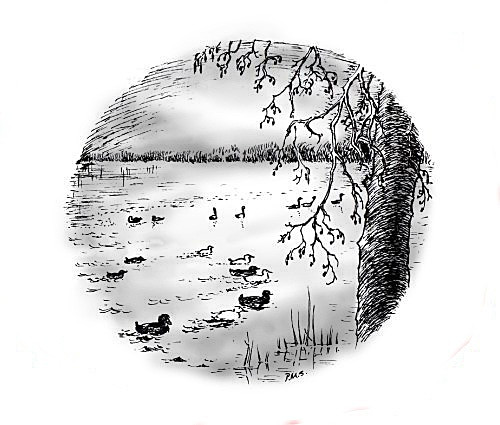 Filby Broad - Drawings and Sketches