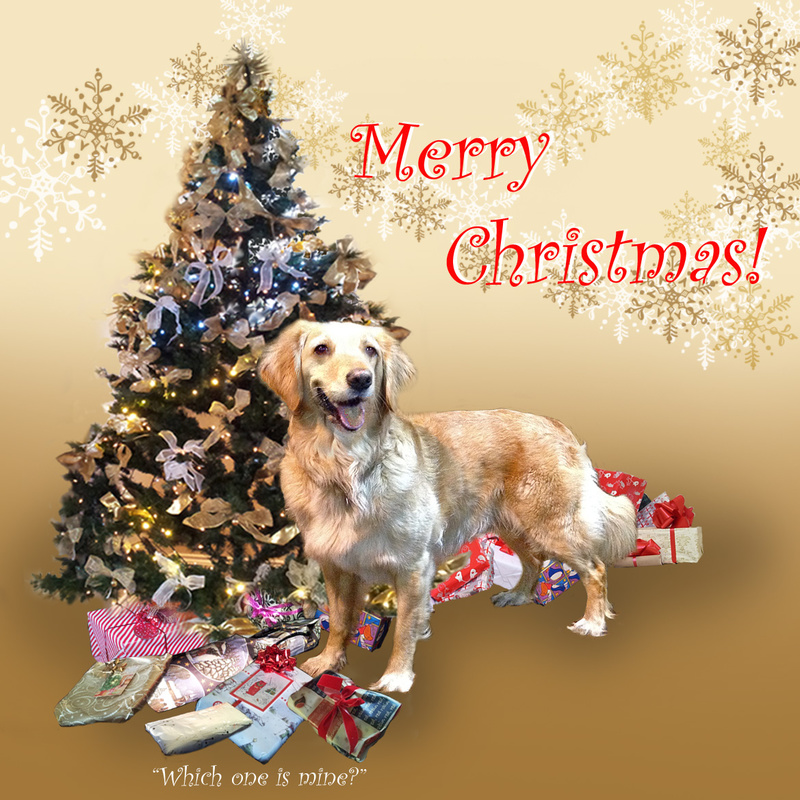 X48a  Ruby is sure one of the presents must be for her - Examples of Papillonpourri Christmas Cards
