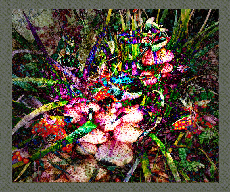 105 Fairies at the bottom of my garden - Imaginative, Meditative or Mystical