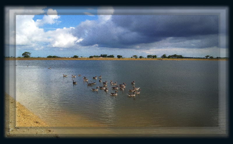 P9  Summer Shower - Places