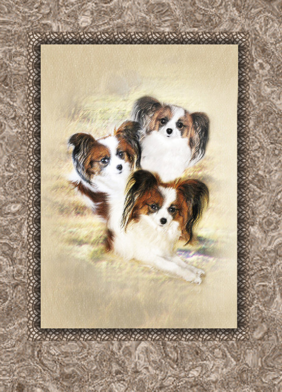 Three of a kind , or: 'The Lacey Ladies' - General Greetings Cards