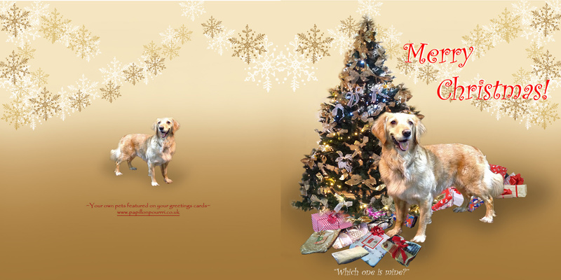X48b  Ruby is sure one of the presents must be for her - Examples of Papillonpourri Christmas Cards