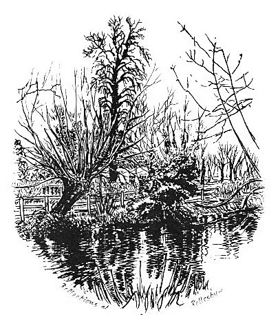 Reflections at Rollesby - Drawings and Sketches