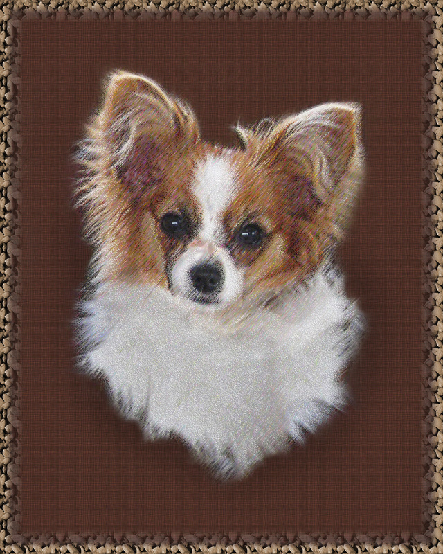 PP33  'Amber' as a puppy  (8 x 10) - Pet Portraits
