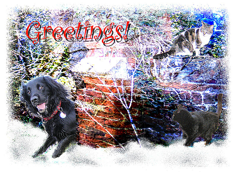 X32 Naughty spaniel at large - Examples of Papillonpourri Christmas Cards