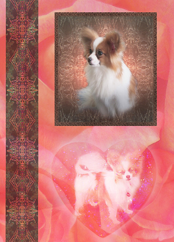 'Special love' - General Greetings Cards