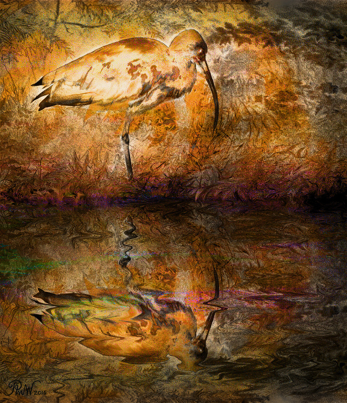 107 Golden Flamingo - Imaginative, Meditative or Mystical