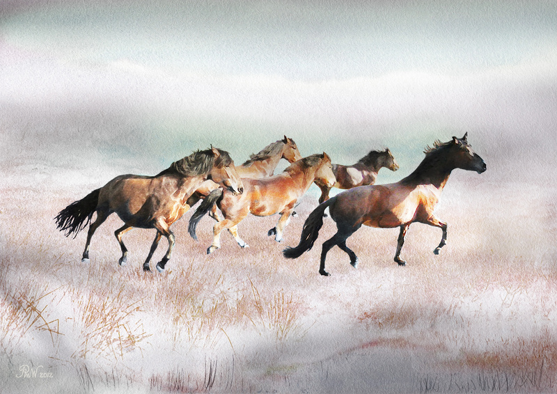 A20  Winter Canter  (A4) - Horses, other animals, and birds
