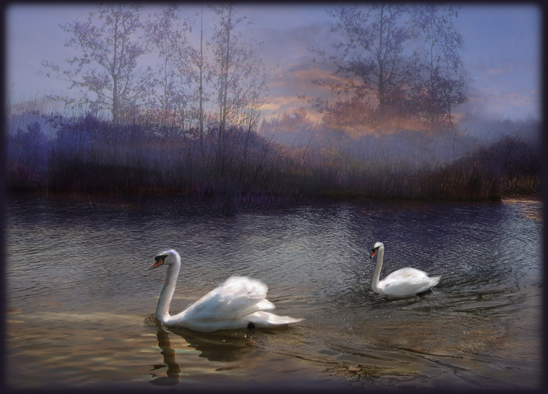 M48 Dusk on the River - Horses, other animals, and birds