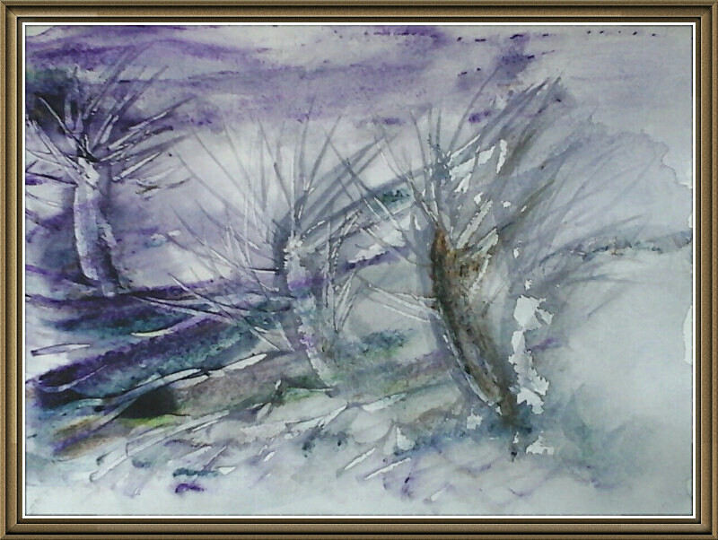 SM41  Pollarded willows in winter wind - Senior Moments - freehand watercolours