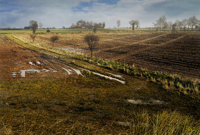 NB15  Winter Fields - Moods and Magic of the Norfolk Broads