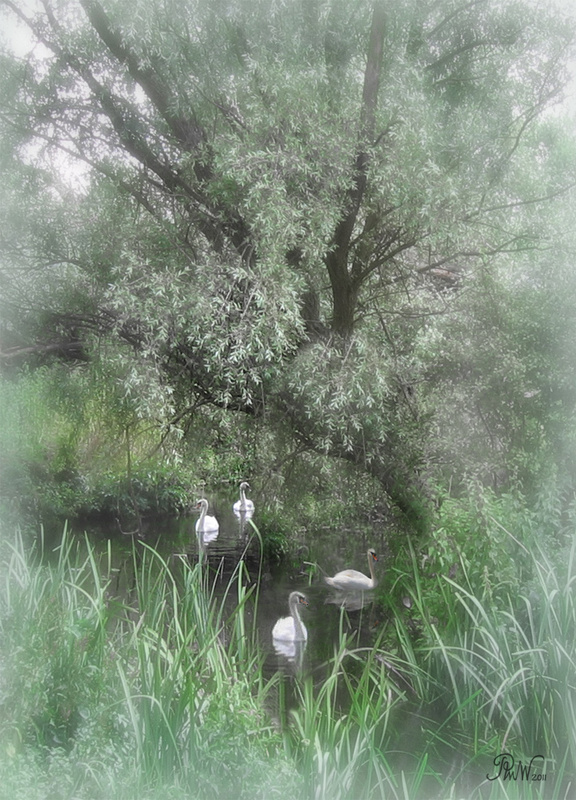 M32 Under the Willows - Moods and Magic of the Norfolk Broads