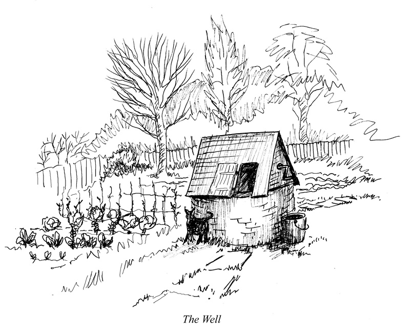 Garden Well - Drawings and Sketches