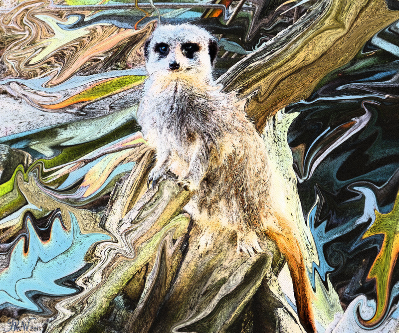 108 Lemur - Imaginative, Meditative or Mystical