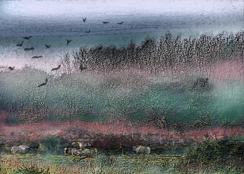 P8  Winter Landscape - Moods and Magic of the Norfolk Broads
