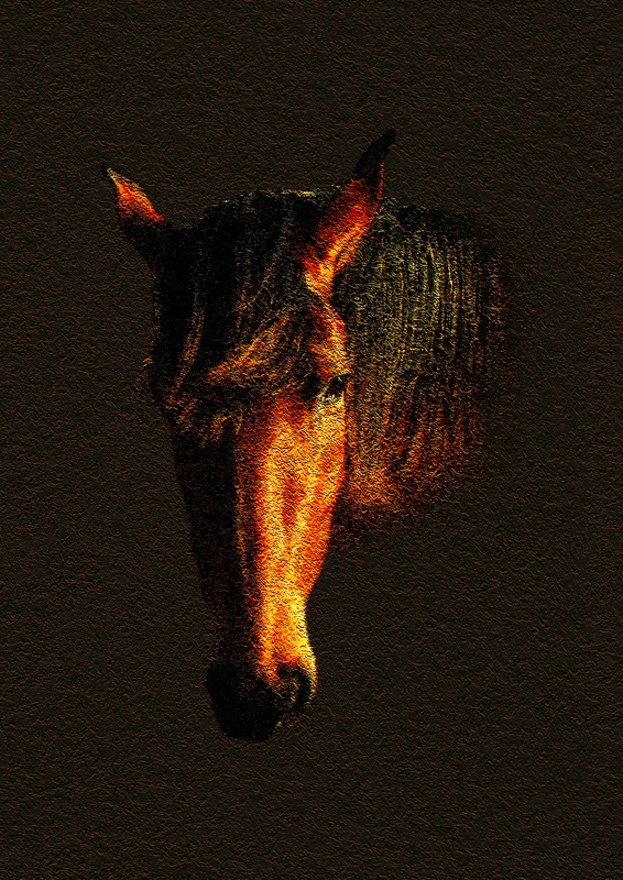 A17  Portrait  (A4 or 10x8) - Horses, other animals, and birds