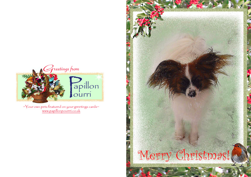X33 'Ears wishing you....' - Examples of Papillonpourri Christmas Cards