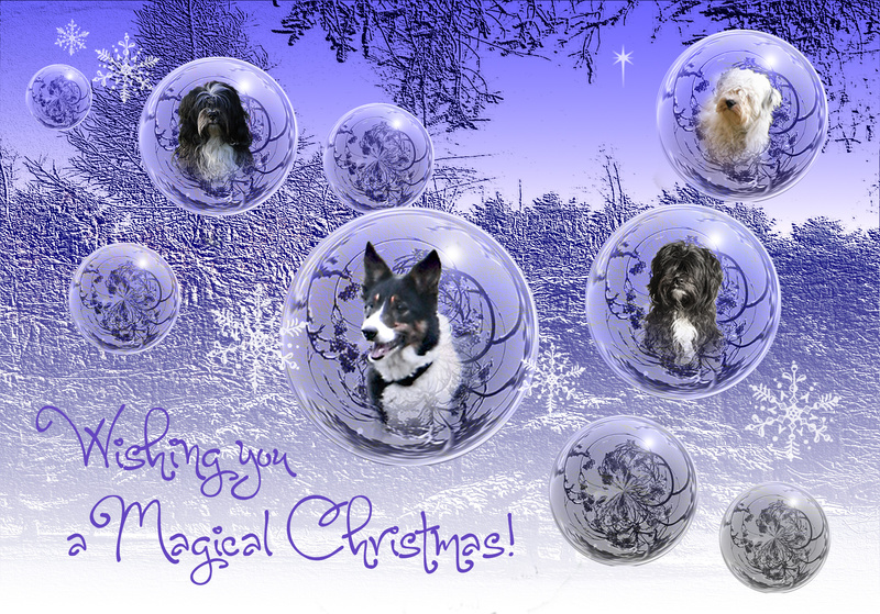 X42a   Magical bubbles - Examples of Papillonpourri Christmas Cards