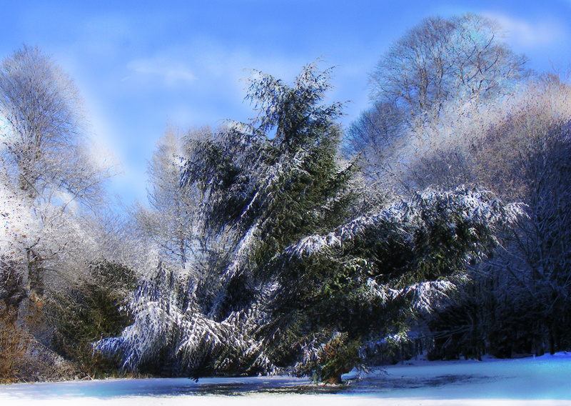 F24  Snow Burst  (A4) - Imaginative, Meditative or Mystical