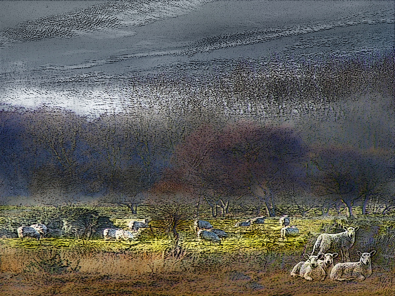 A9 Winter Dawn  (8 x 6) - Horses, other animals, and birds