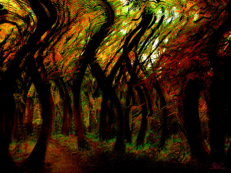 M51  Autumn Gale in a Beech Wood - Imaginative, Meditative or Mystical