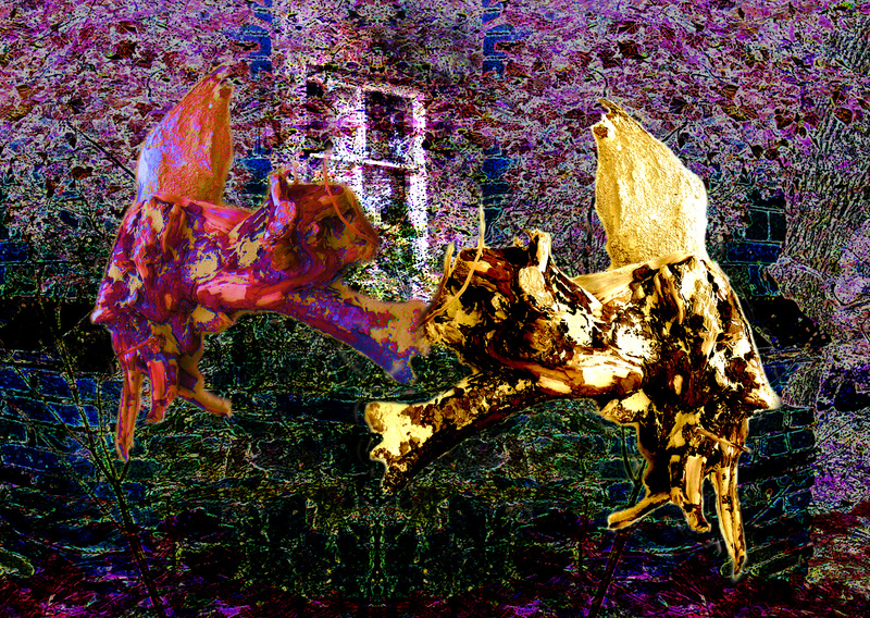 FD15  Fighting Cats - Fun with Driftwood