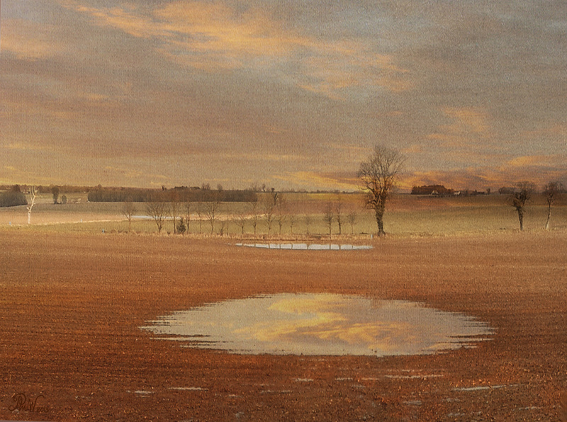 NB13 Field Pool - Moods and Magic of the Norfolk Broads