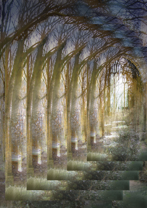 F31 Woodland Cathedral  A4 - Imaginative, Meditative or Mystical