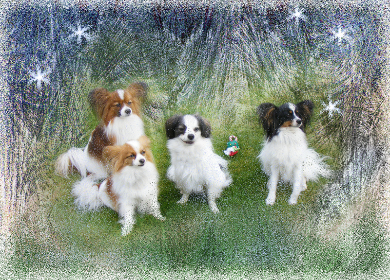 X1  Dogs in Wonderland - Examples of Papillonpourri Christmas Cards