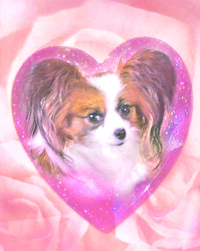 PP38 Be my Valentine! (Valentine card 2) - Pet Portraits