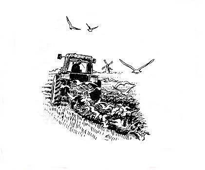 Ploughing - Drawings and Sketches