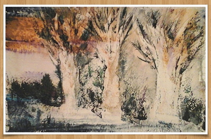 SM33   Sketch of three trees - Senior Moments - freehand watercolours