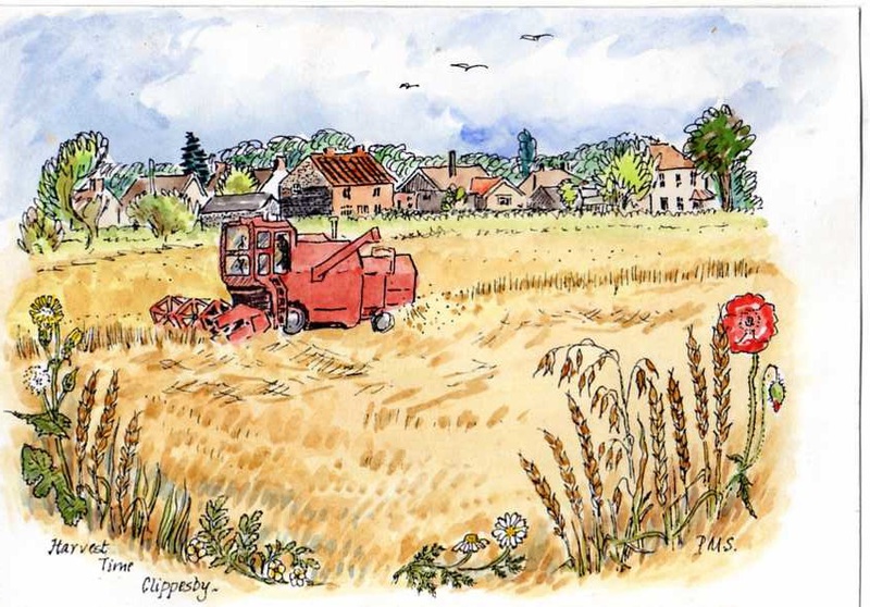 Harvest - Drawings and Sketches