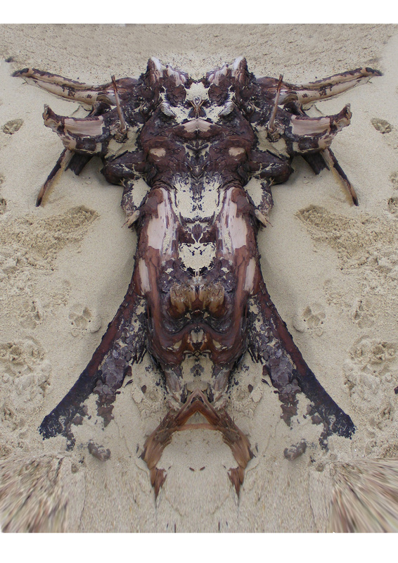 FD8  Driftwood (III) section - Fun with Driftwood
