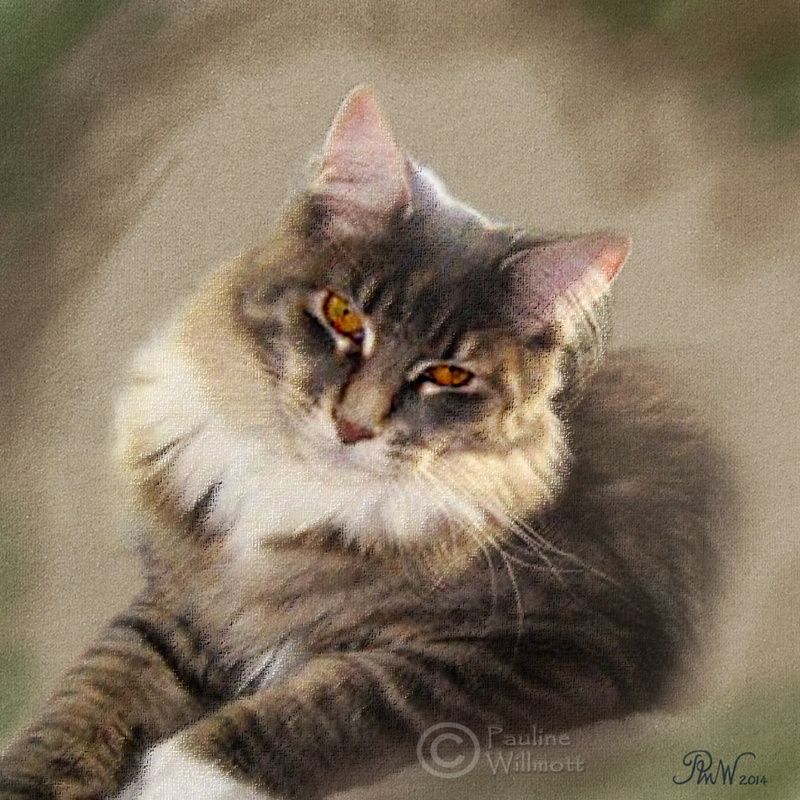 PP68  Phoebe - Pet Portraits