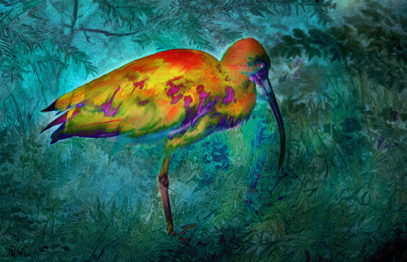 110 Paradise Flamingo - Imaginative, Meditative or Mystical